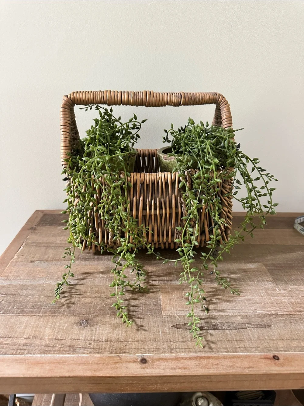 Woven Rattan Basket with Handle in Natural Brown & 2 Tall Ceramic Plant Pots Lot